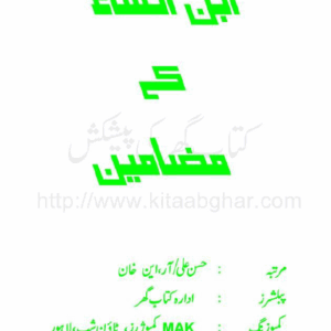 Ibn e Insha Kay Mazaameen